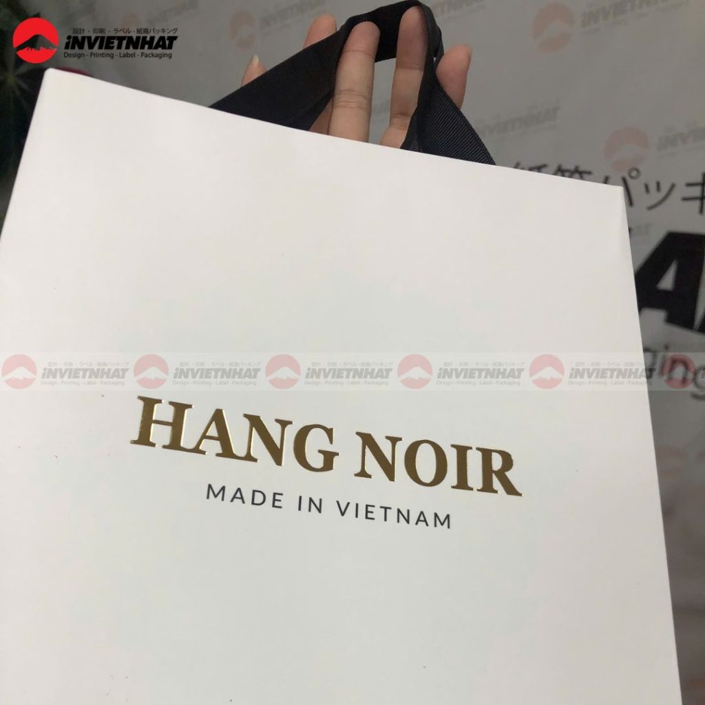 in túi giấy cho thương hiệu hang noir